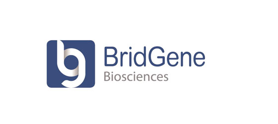 BridGene