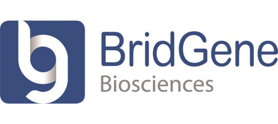BridGene